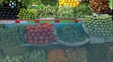 أسعار الخضروات اليوم الخميس 4-9-2025 في سوق العبور مباشر وأحدث التحديثات